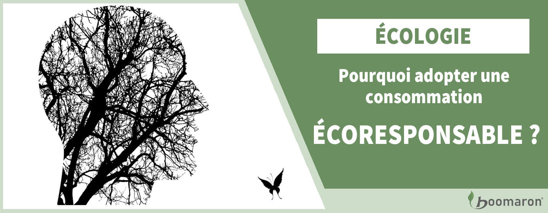 Pourquoi consommer écoresponsable 