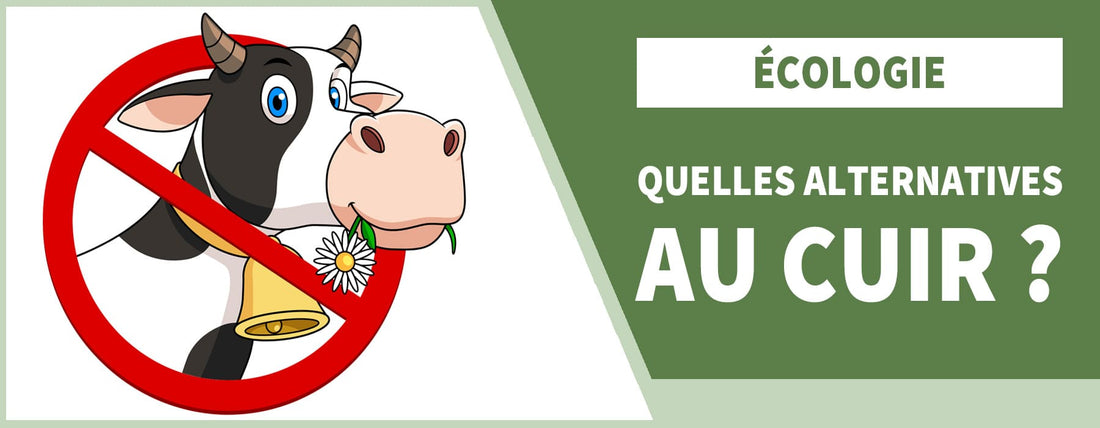 Quelles sont les alternatives au cuir ? 🌿