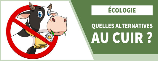 Quelles sont les alternatives au cuir ? 🌿